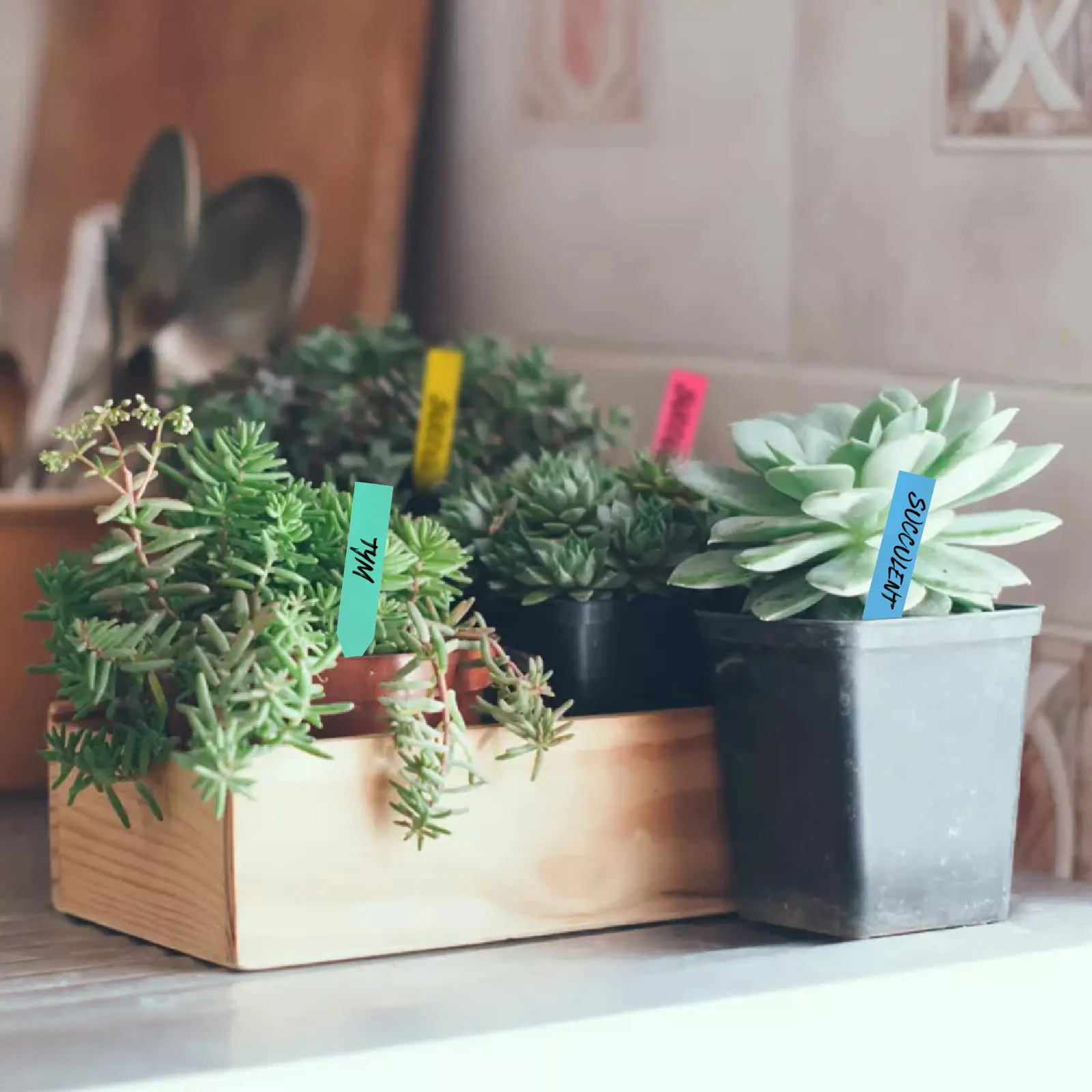 100 шт. пластиковые маркеры для цветочных Горшков