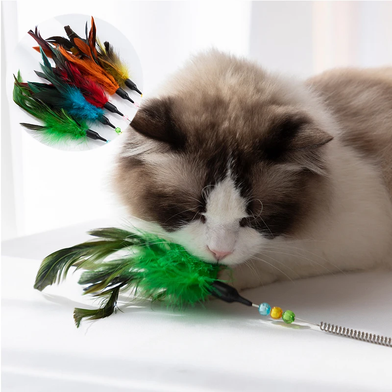 

Creative Funny Cat Sticks Colorful Cat Toys Funny Sticks Feather Funny Cat Sticks Pet Toys Funny Cute Multi-colored Stretchy