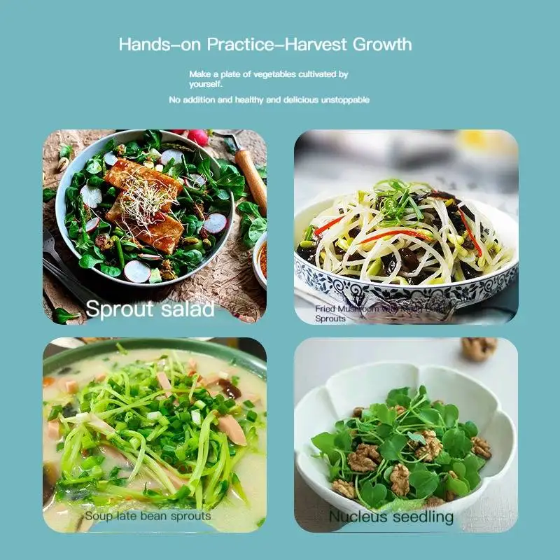 

Observation on the growth of hydroponic plants for children in the canon society DIY potted hand-made toys improve hands-on abil