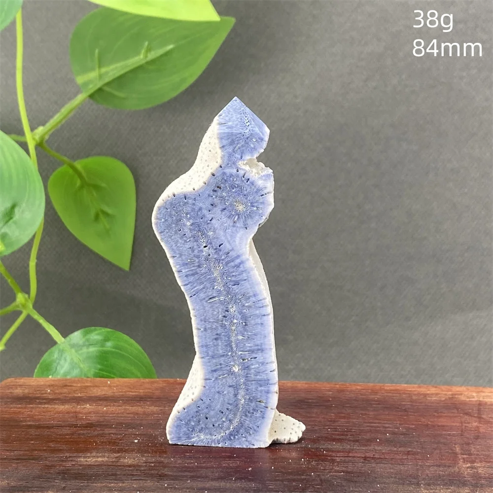 

Синий коралловый ломтик яшмы для ювелирных изделий