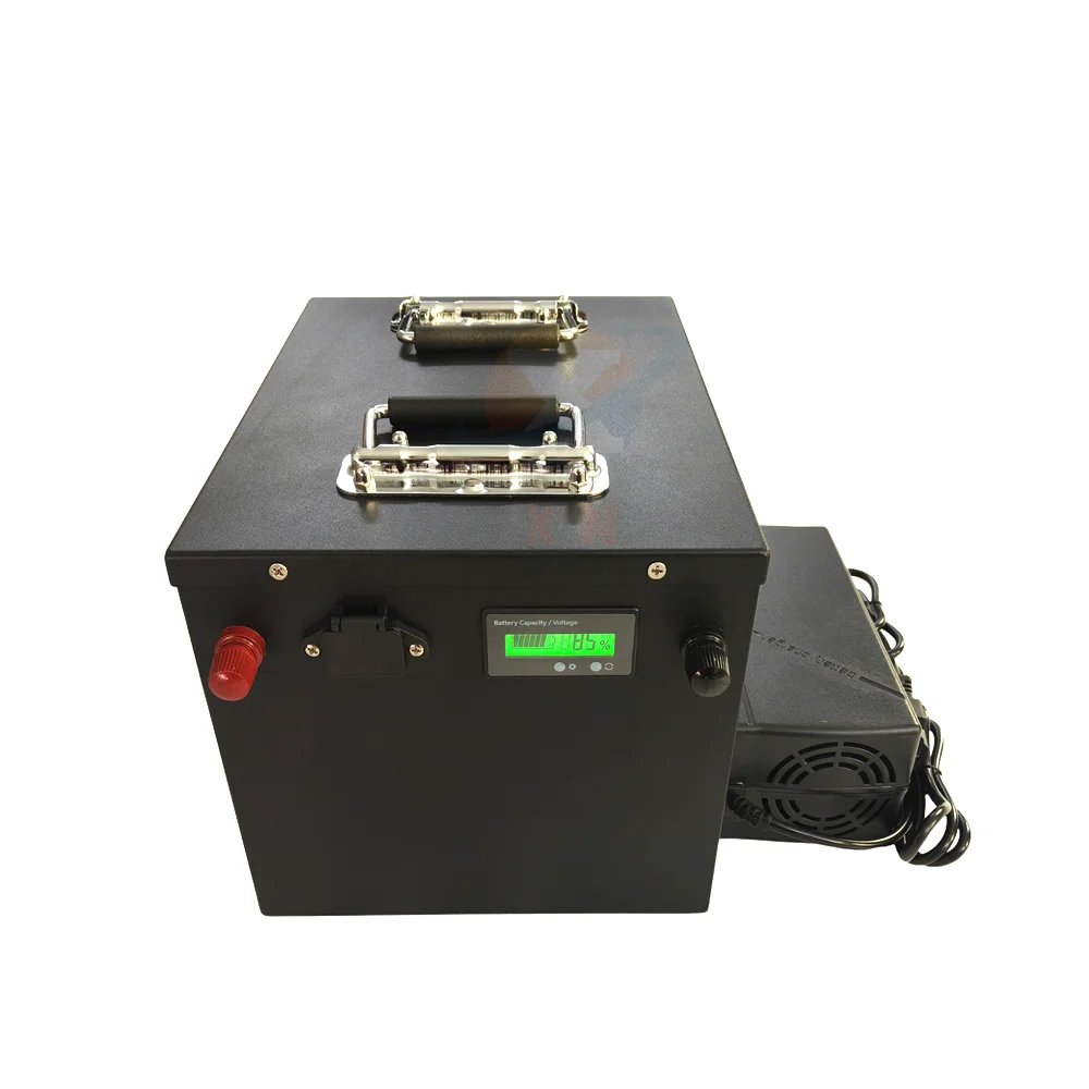 Lifepo4 avec BMS de pêche Sicile EV chargeur 12В 400Ач 600Ач 800Ач 24В 500Ач 36В 300Ач 48В 200Ач 5000Вт