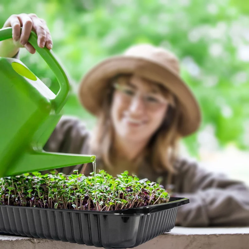 

Black Growing Trays without Drain Holes Rectangular Plastic Seedling Tray for Garden Greenhouse Plants Microgreens TS2