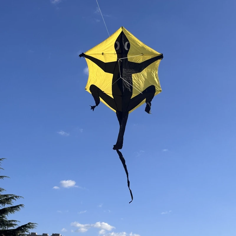 Бесплатная доставка Gecko воздушные змеи для взрослых kites fiying игрушки активного