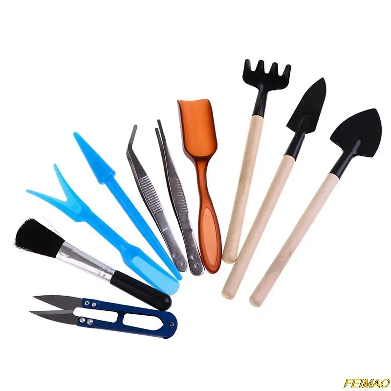 13 шт. миниатюрные растения для выращивания растений |