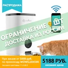 Кормушка для домашних животных, автоматическая кормушка для кошки л, Wi-Fi, с записью