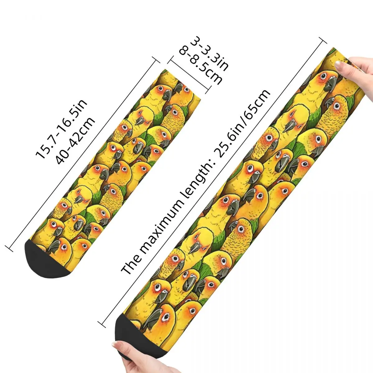 Jenday ConuresJenday Conures Adult Socks,Unisex socks,men Socks women Socks