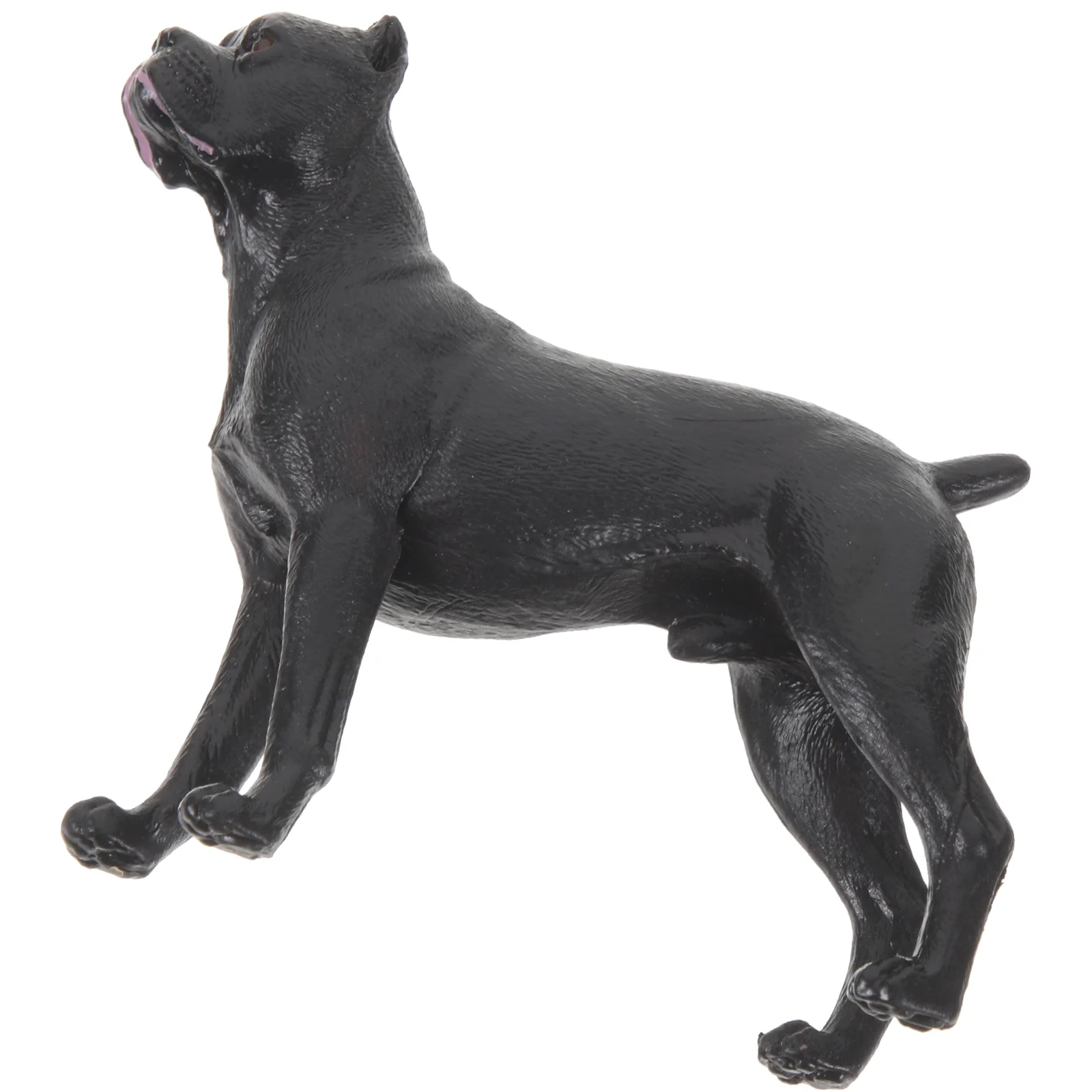 

Игрушечная собака, реалистичная модель модели, фигурка, настольное украшение, маленькая статуя, распознавание