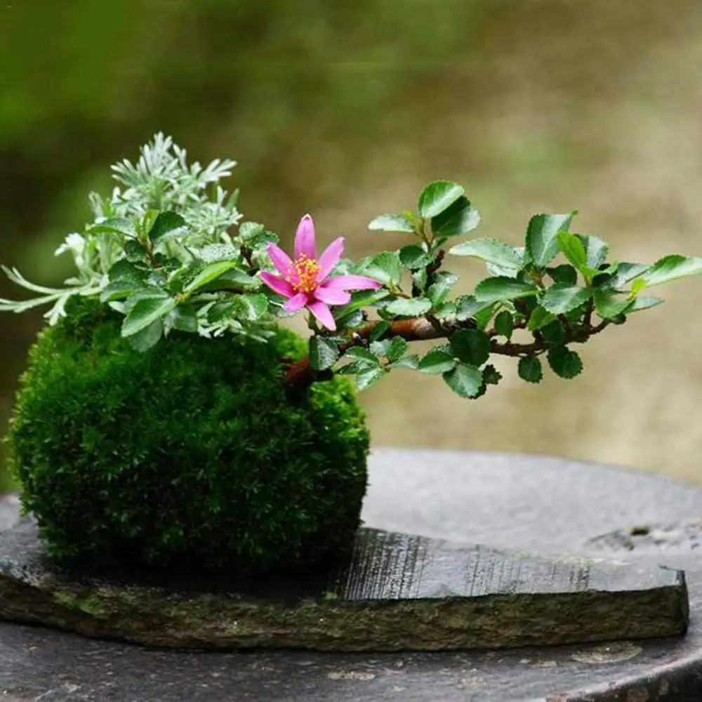 

Simulation Moss Ball Bonsai Plant Flower Pot DIY Gardening Home Table Decoration