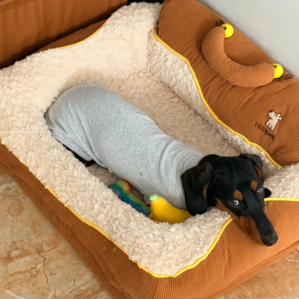 Фото Одежда для собак пород Wiener Dog: Весенне-летняя пижама из 100% хлопка на 4 лапах для миниатюрных такс, послеоперационный костюм для такс. №4