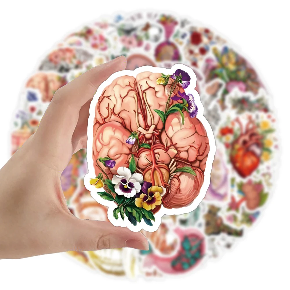 

10/30/50pcs Human Anatomy Physiology Heart Skull Internal Organs Stickers Toys Skeleton Graffiti Car Luggage Laptop Sticker Pack