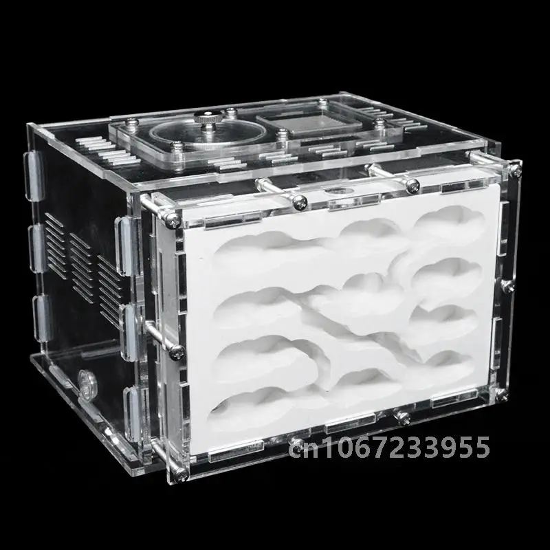 DIY акриловая ферма муравьев гипс экологический дом для домашних животных антарль