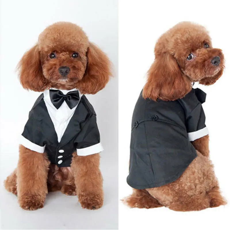 

Supplies Sizes Dog Gentleman Prince Chihuahua Tuxedo Wedding Bowtie Pets Cachorro Cat Puppy Coat Cute Mascotas 5 Costume Clothes