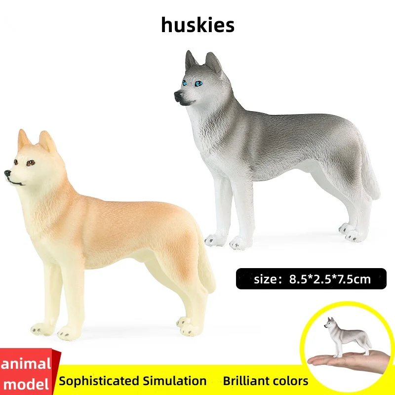 

Имитация учебного пособия собака модель животного Хаски Шиба-ину золотистый ретривер домашняя собака Детские игрушки когнитивные украшен...