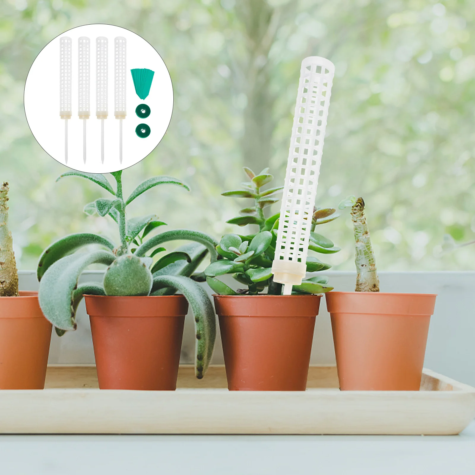 

Pole Support Climbing Monstera Column Stands Stem Holder Cage Trellis Garden Sphagnum Cages Tropical Tall Coir Totem Potted Vine