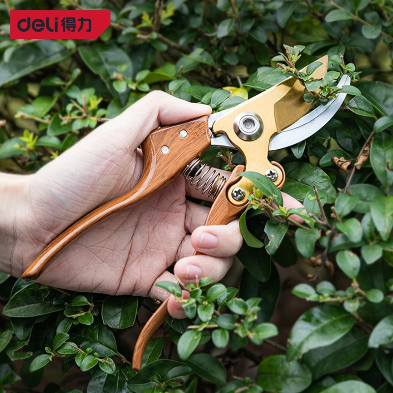 Deli Garden Tool 1 Pcs 8 Inch Garden Pruners Professional Fruit Grower Pruning Shears Multifunction Gardening Plant Scissors