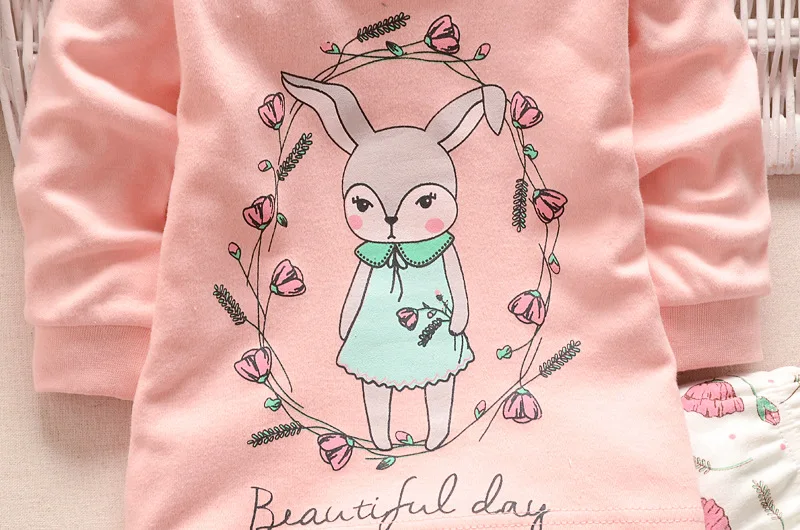 Autumn Winter 2022 Baby Boy Girls Clothes Cotton Girl Clothing Sets Cartoon Long-Sleeved T-Shirt+Pants Infant Clothes 2pcs Suit
