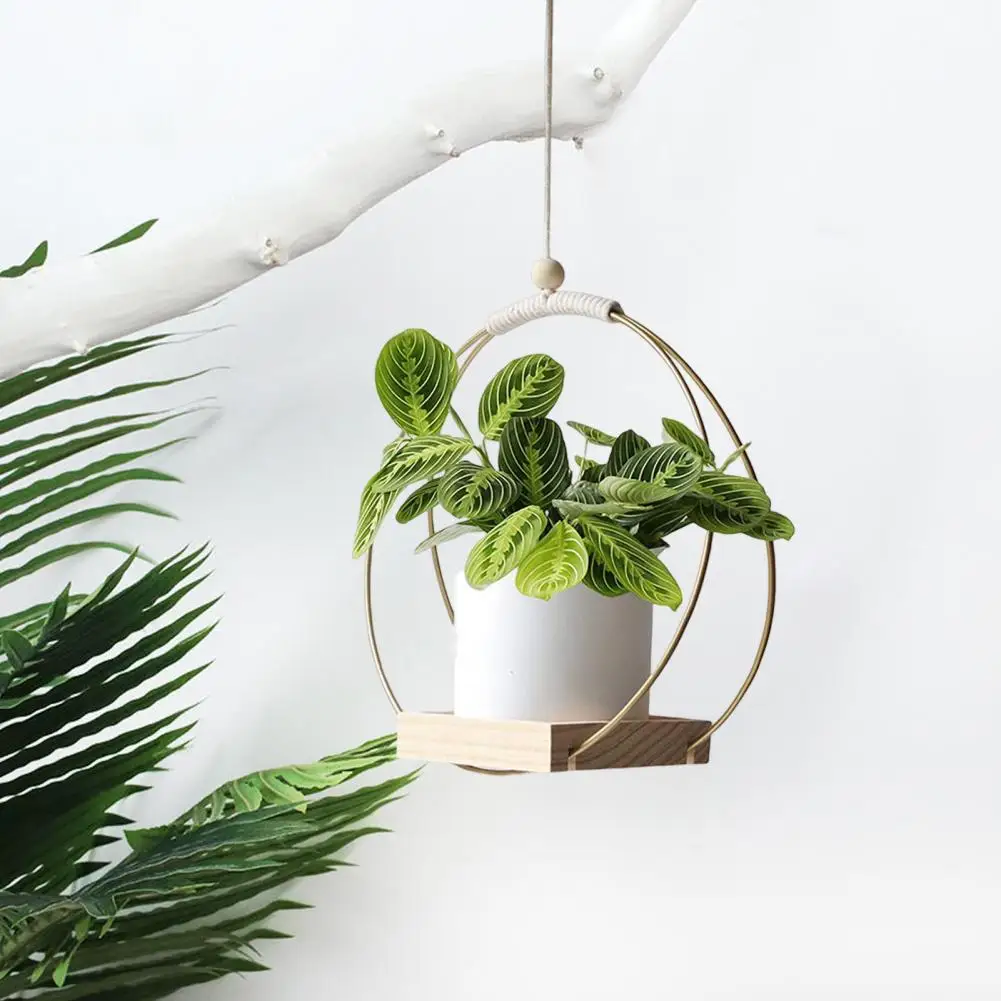 

Plant Hanger Durable Simple Style Metal Hanging Planter Holder Flower Pot Display Tool Garden Supplies
