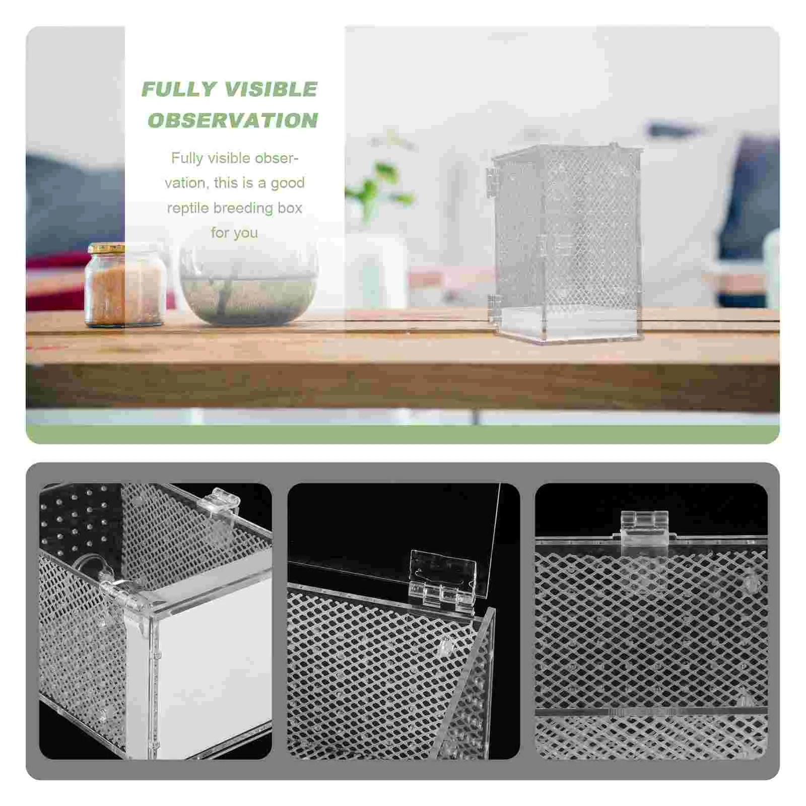 Ящик для разведения богомола белый держатель рептилий видимый чехол кормления