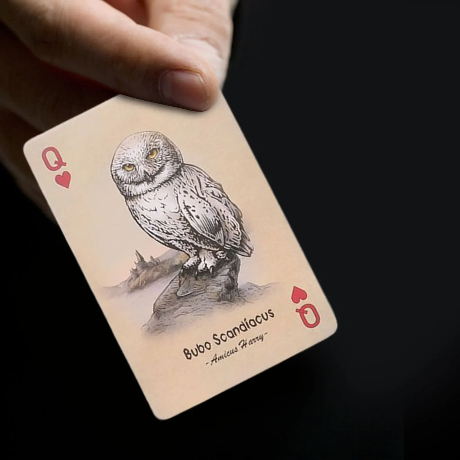 

59Pcs Playing Cards Unnatural History Playing Cards Adults Tabletop Game Gifts Parties Magic Shows Talent Shows Table Games