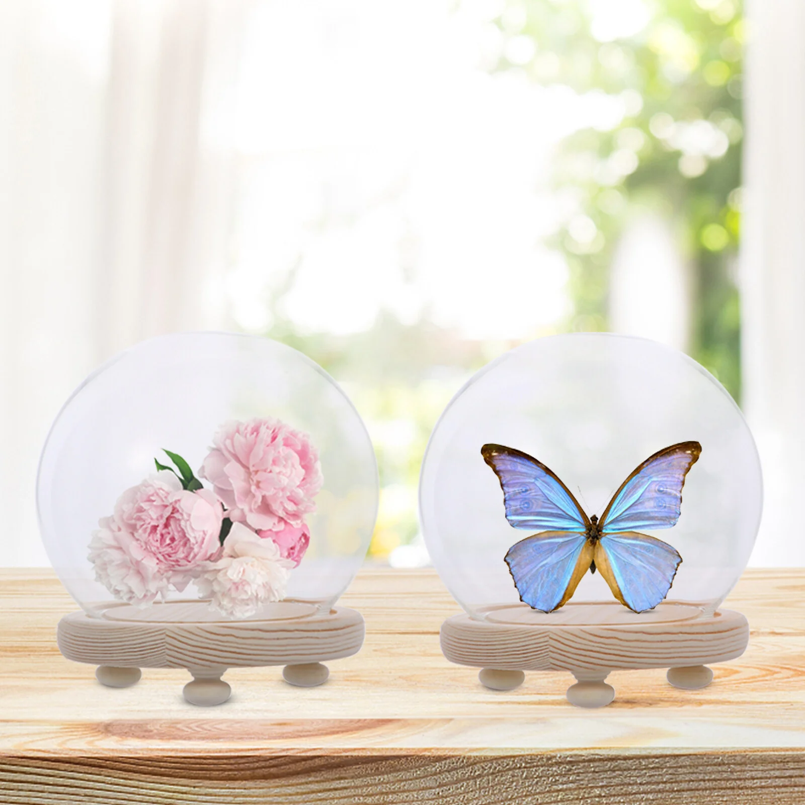

Spherical Glass Cover Desk Topper Model Display The Flowers Handicraft Dustproof Borosilicate Jar