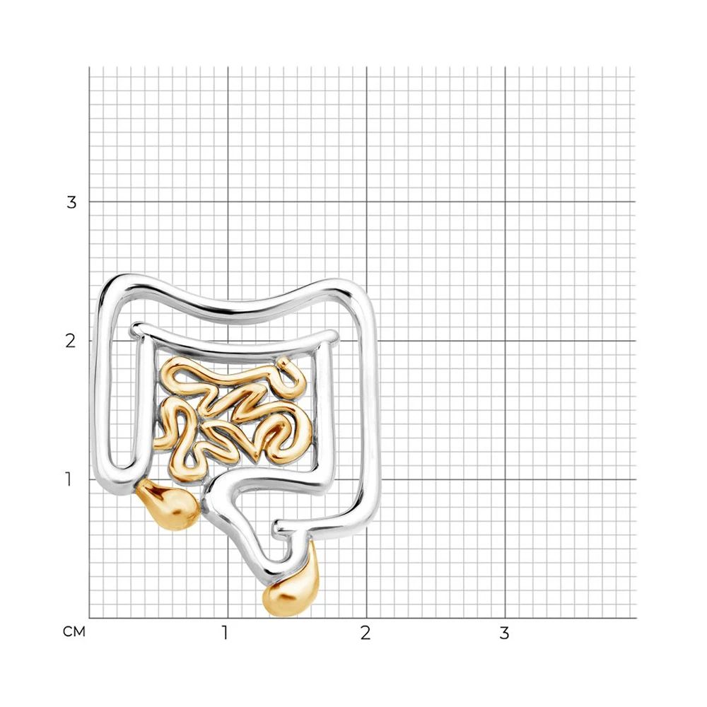 Медицинская брошь для кишечника Hanreshe пищеварительная система медицина