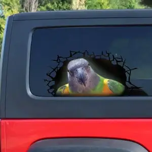 Наклейка на окно Сенегал попугай 3D наклейка