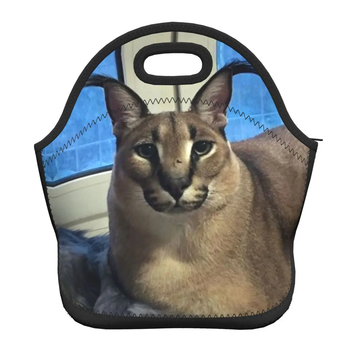 

Big Floppa Funny Meme Insulated Lunch Tote Bag for Women Men Caracal Cat Cooler Thermal Neoprene Food Lunch Box School Children