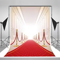 Photography Backdrop Awards Ceremony Night Party VIP Photo Background Red Carpet Path For Wedding Birthday Decor Prom Event