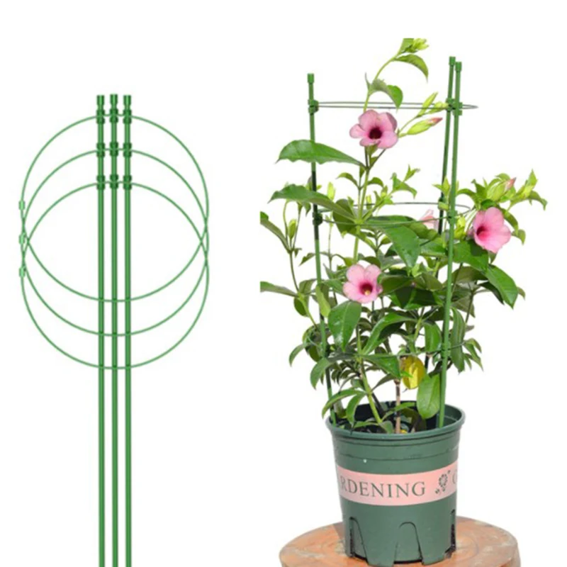 

6 Sizes Durable Creative Vine Climbing Rack Flower Decorative Gardening Tools Vegetables Plant Trellis Plant Support Frame Plant