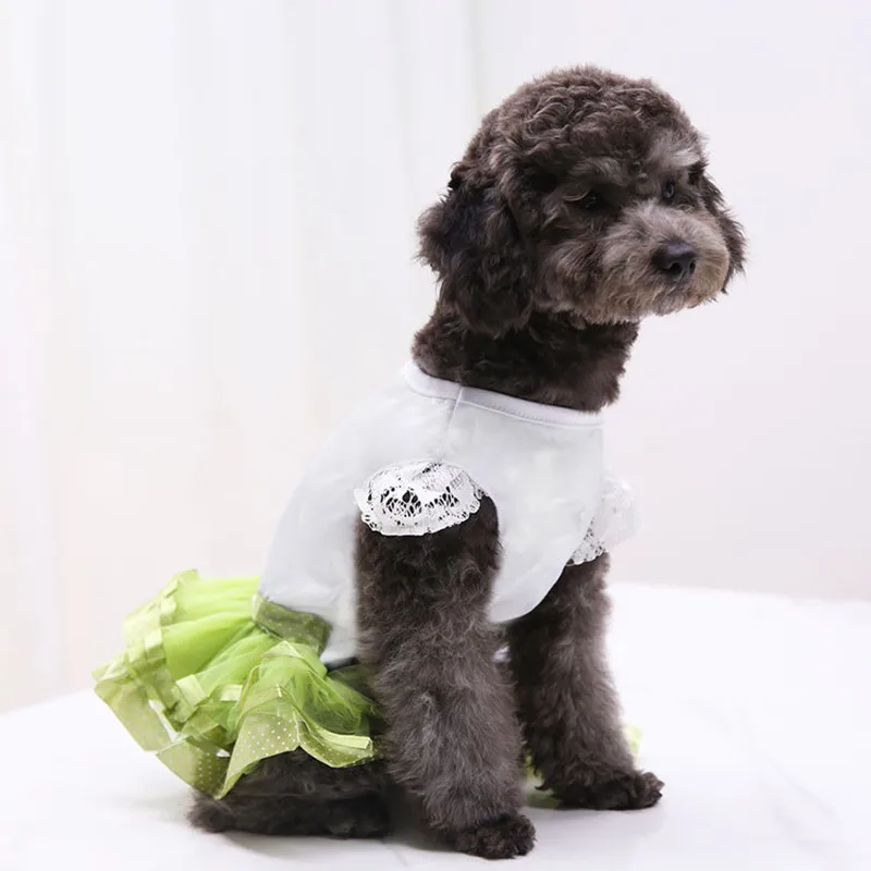 Милая летняя кружевная одежда для принцессы пачки с бантом померанского шпица