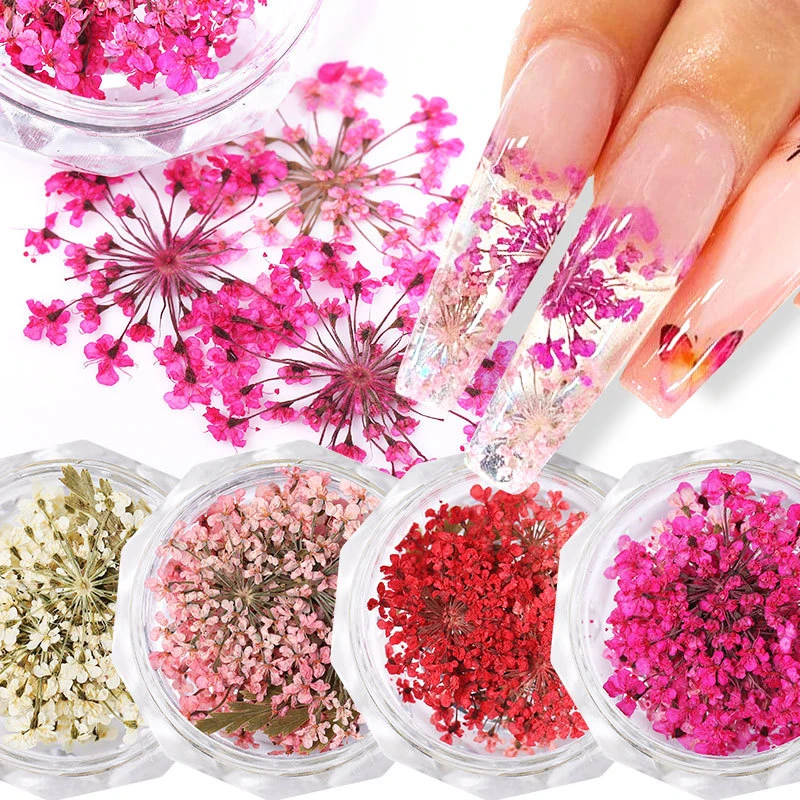 

New Natural Dry Manicure Nail Floral Nail Dried Flowers 3D Decorations Accessories Nail Decor Mix Color Beauty Gypsophila Flower