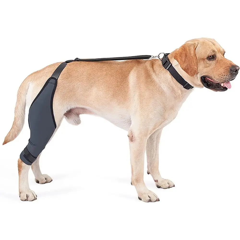 

Pet Knee Pads Dog Support Brace Breathable Injury Recover Legs Wrap Reduces Pain and Inflammation 3 Size