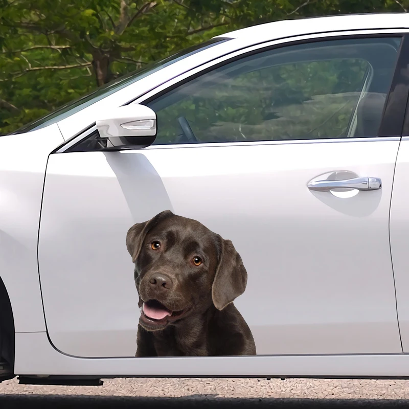 Наклейка для автомобиля водостойкая из лабрадора V1358