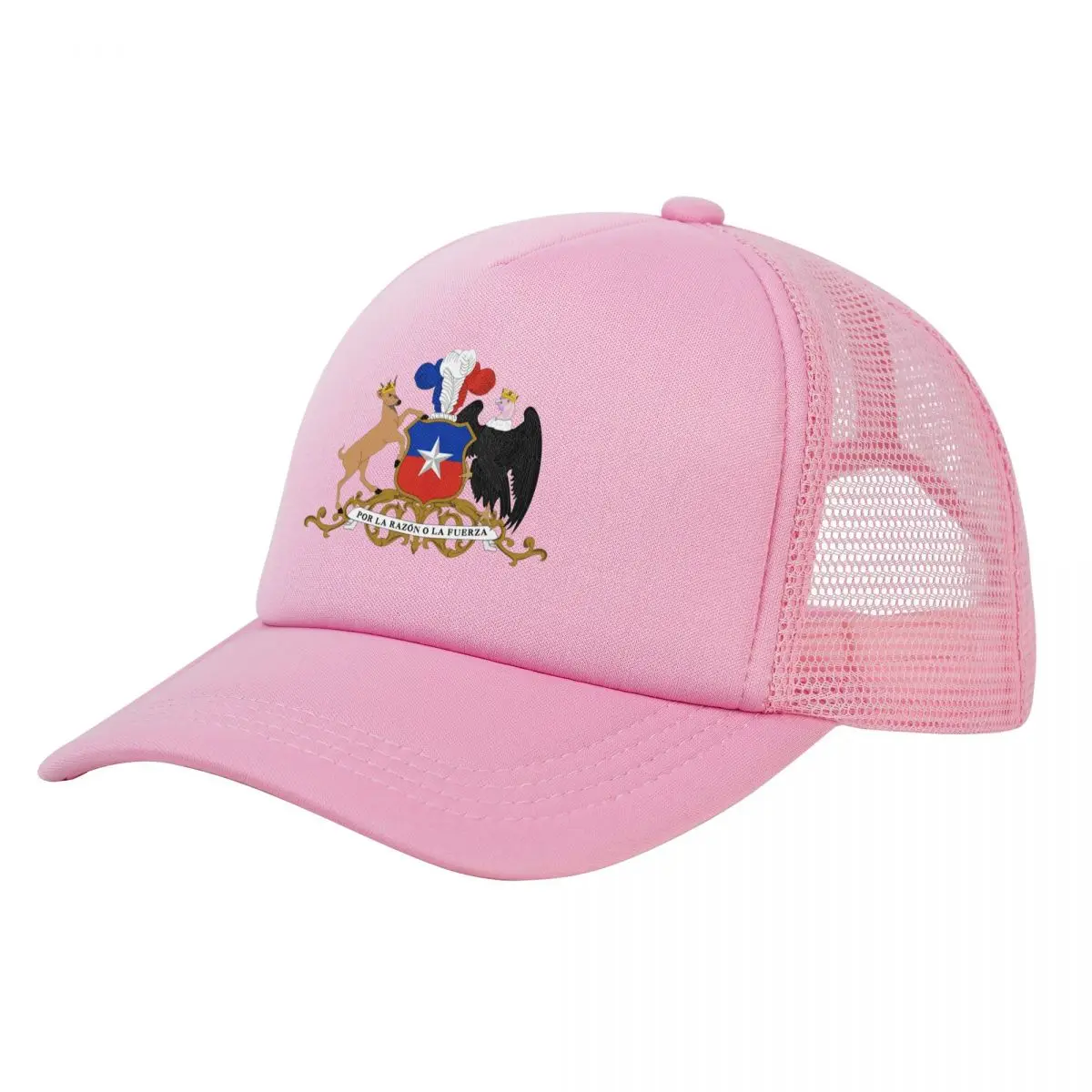 

Coat Of Arms Of Chile Trucker Cap Adult Hip-Hop Hat Sun Caps Fishing Hat Breathable Snapback Caps Mesh Baseball Caps Winter
