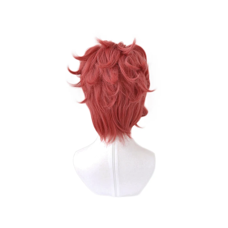 Парик для косплея из аниме JOJO Kakyoin Noriaki Kakyouin термостойкие короткие искусственные