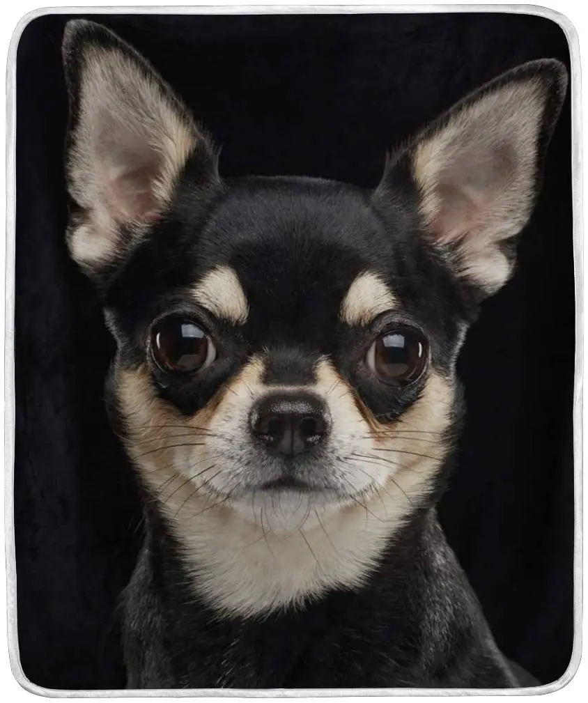 

Chihuahua Dog Throw Blanket Polyester Microfiber Sofa Warm Couch Bed Blanket