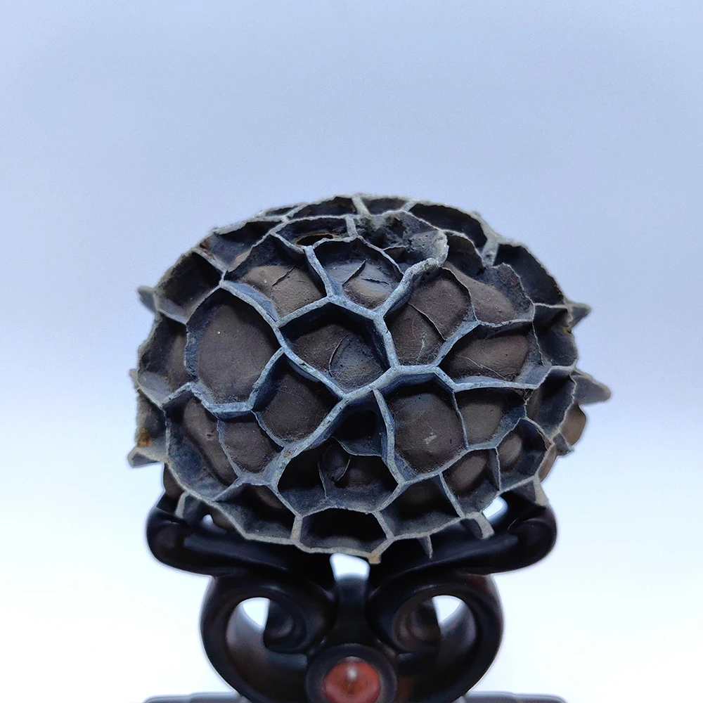 HzzzR мужской подарок муарный камень кристаллы натуральный кварцевый Piedras Decorativas