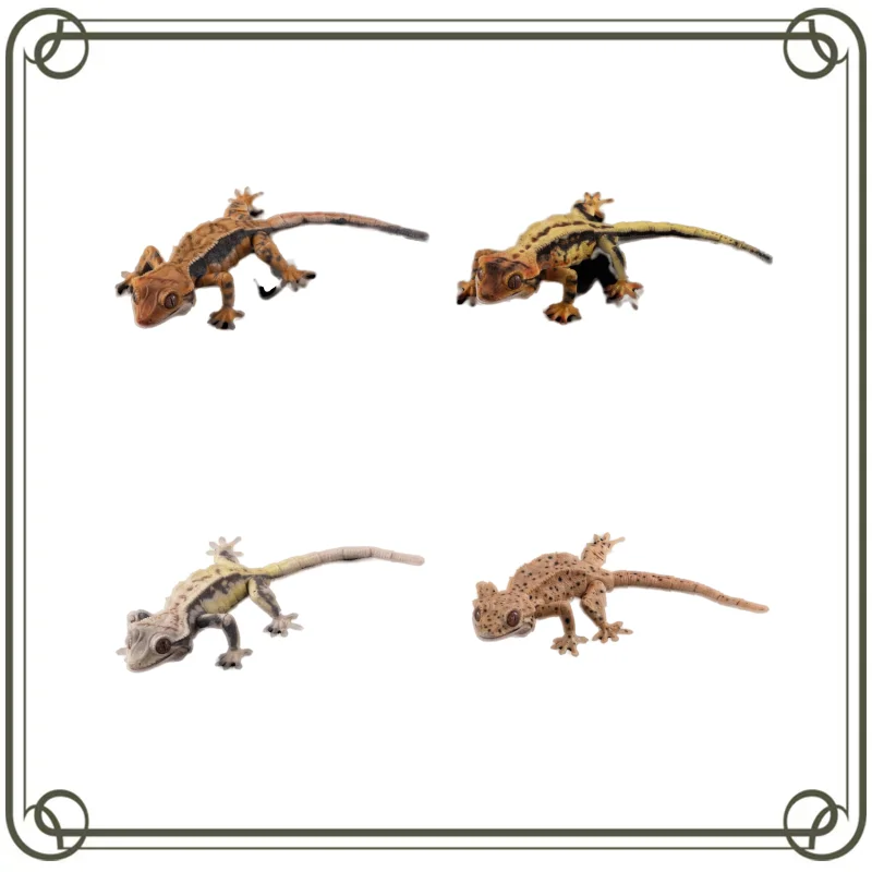 Bandai Gashapon биографическая энциклопедия фигурки Gecko 02 Имитация животных подвижные