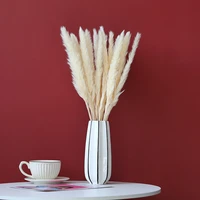 small reed preserved fresh flower bouquet pampas grass pampas grass reed natural dried flower diy decorative flower material