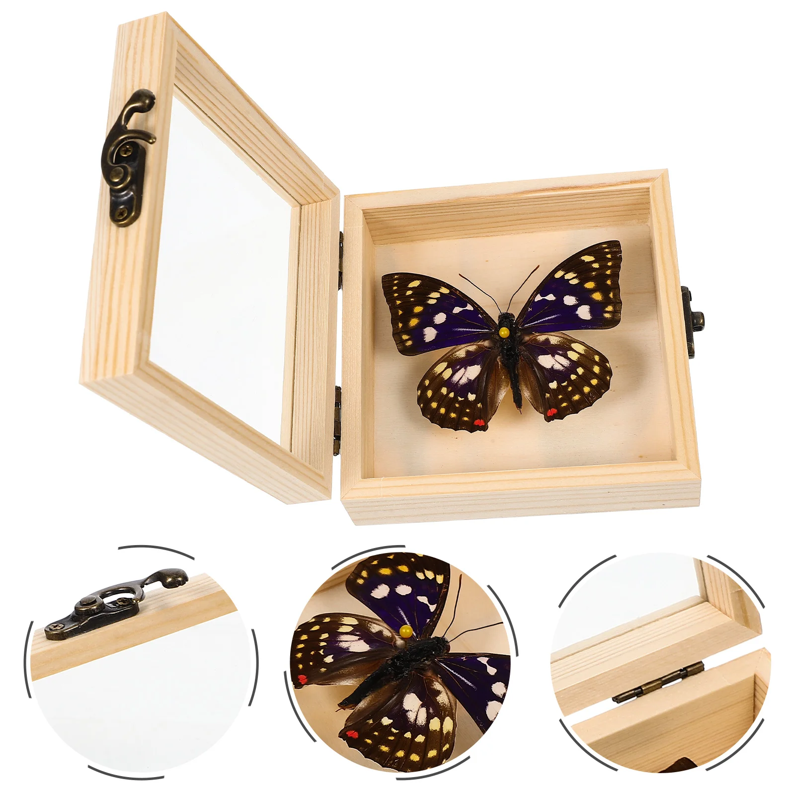 

Premium Multi-functional Exquisite Displaying Home Decoration Photo Prop, Display Box Wall Hanging Specimen for Education Prop