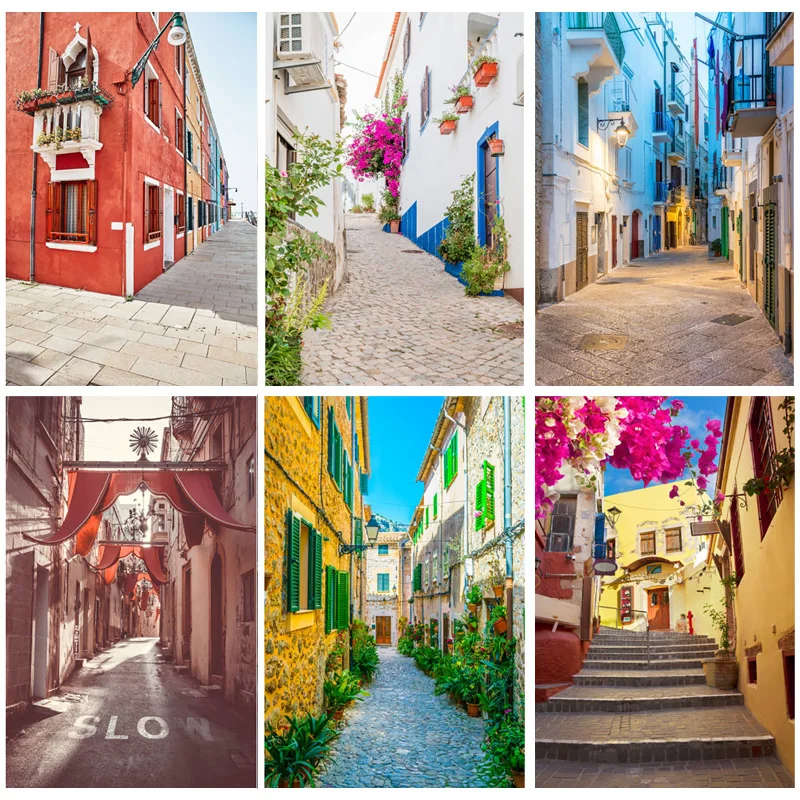 

Country Small Town Natural Scenery Photo Background Street Sky Photography Backdrop Living Room Decor Poster 22617 JD-09