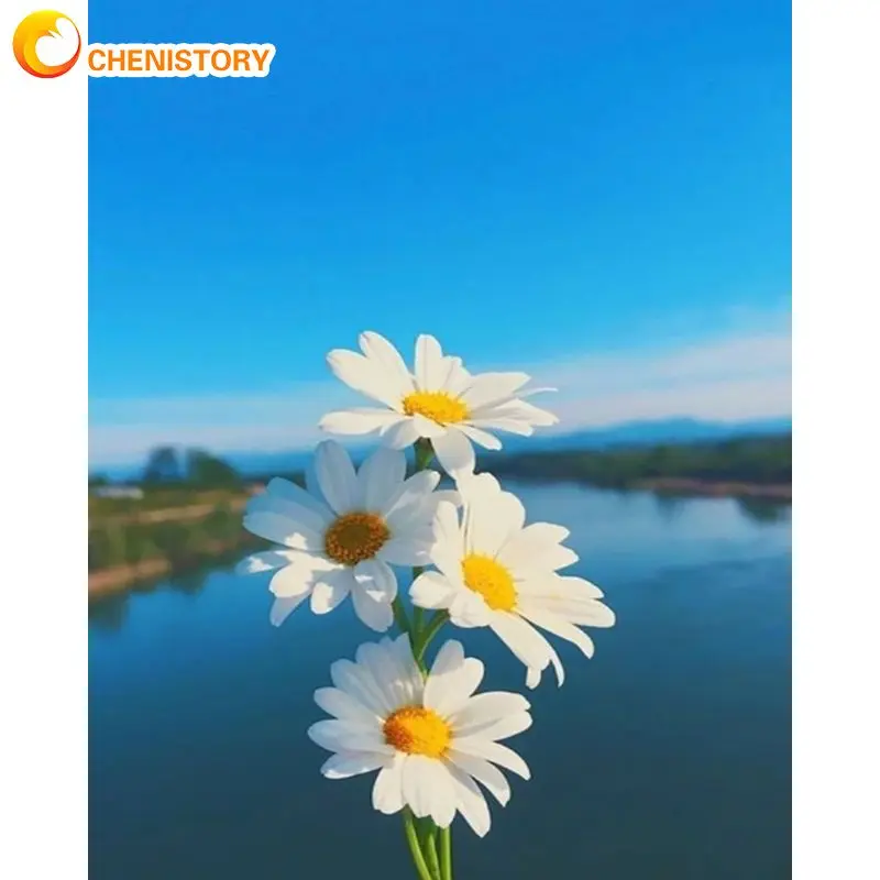 

CHENISTORY, полноразмерная/круглая Алмазная белая Маргаритка 5D, алмазная живопись, мозаика, цветы, вышивка, искусство и ремесла, домашний декор