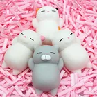 Милая игрушка Mochi Cat Squeeze Healing Fun для детей Kawaii, игрушка для снятия стресса, игрушки для снятия стресса, дропшиппинг