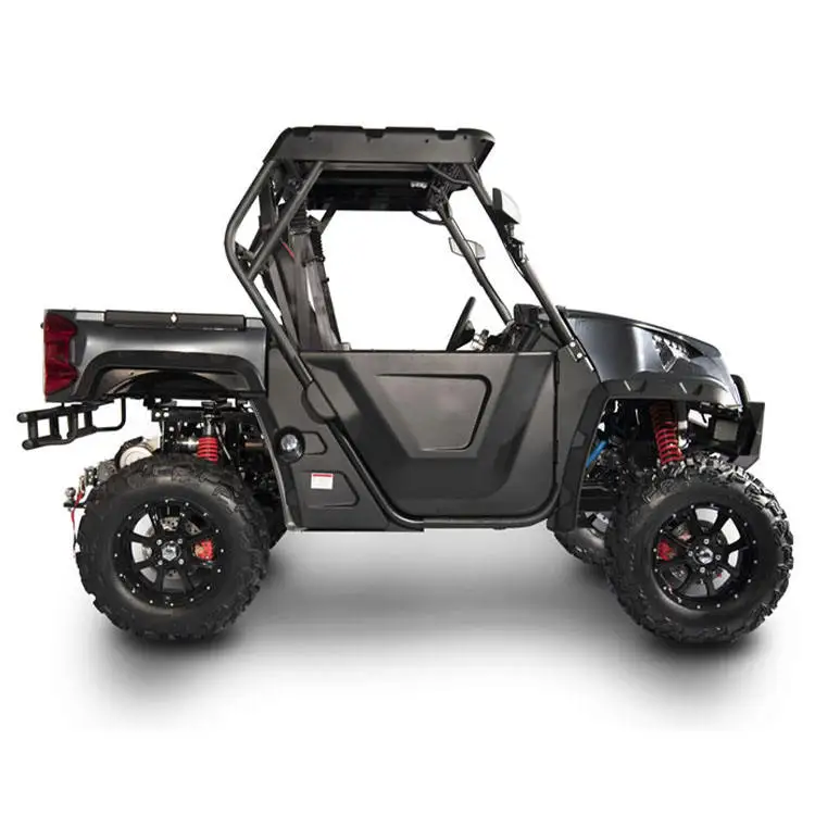 Quadix Buggy 800