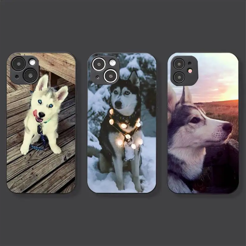 

Cute Alaska Phone Case For Iphone 7 8 Plus X Xr Xs 11 12 13 Se2020 Mini Mobile Iphones 14 Pro Max Case