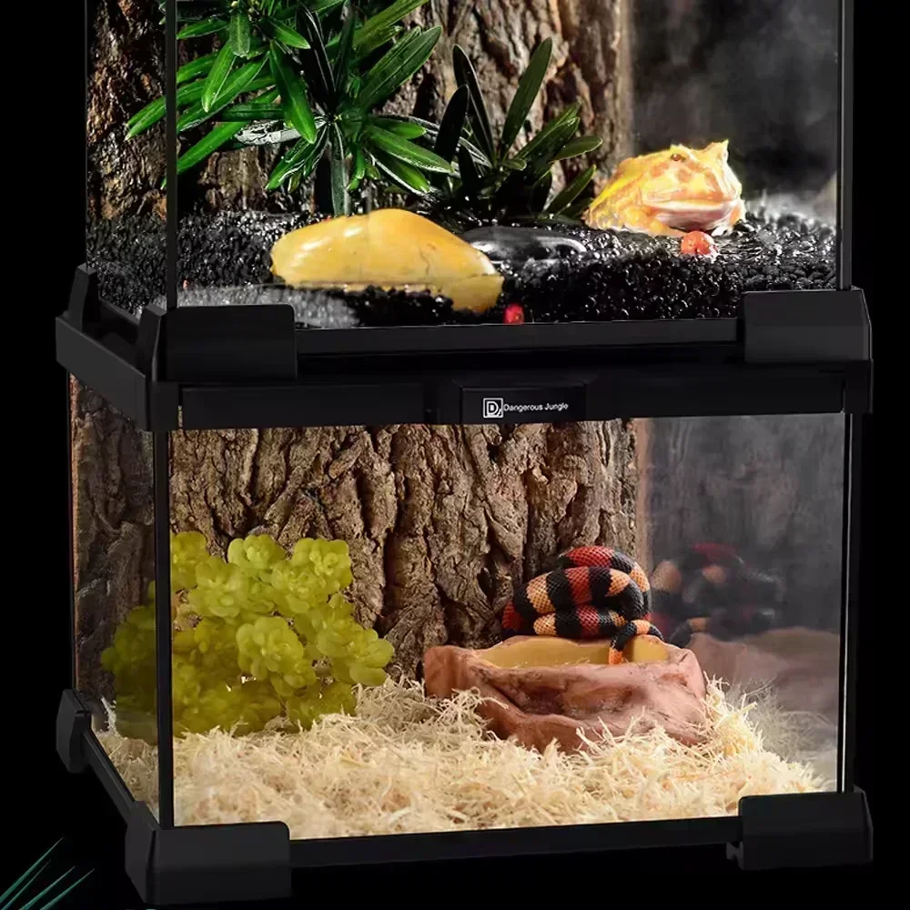 Gady Szklane pudełko do karmienia Żółw Terrarium Wąż Pająk Jaszczurka Żaba rogata Pudełko Las deszczowy Ekologiczny zbiornik Ślimak Krab