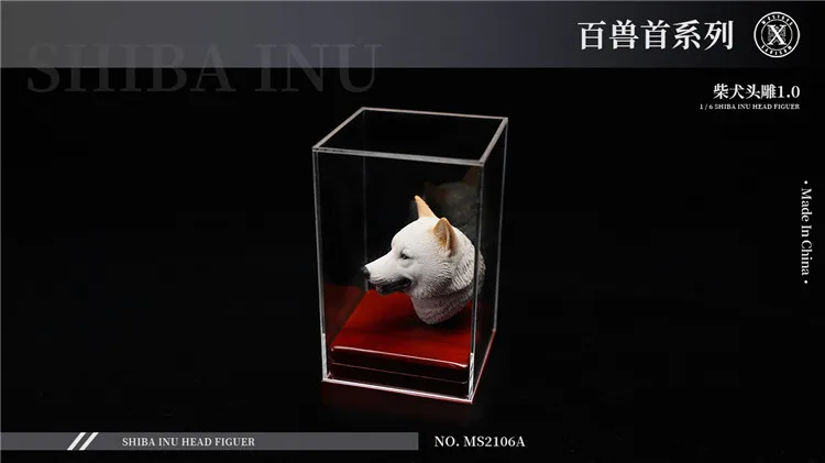 1/6 Mostoys MS2106 голова Шиба-ину резьба модель головы животного Лепка собаки для 12