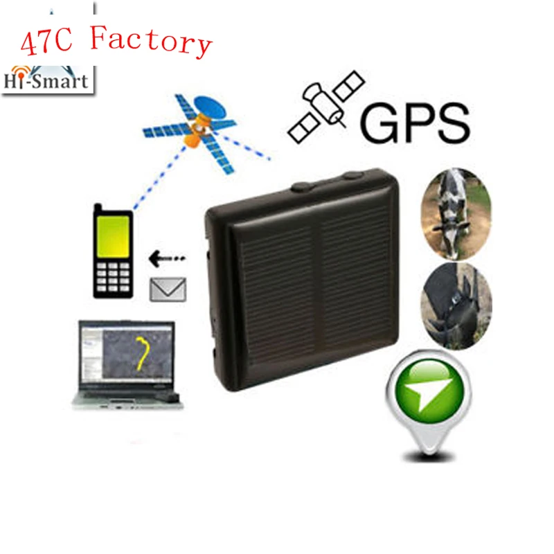 

Professional 2019 New Product High Quality Mini Smart Anti Lost Animal Pet GPS Tracker Locator GPS Tracking Device