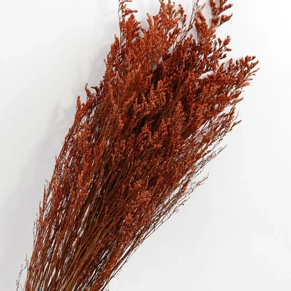 

Сухоцветы ротанг YN HI FLOWER ENJOY YOUR LIFE для декора