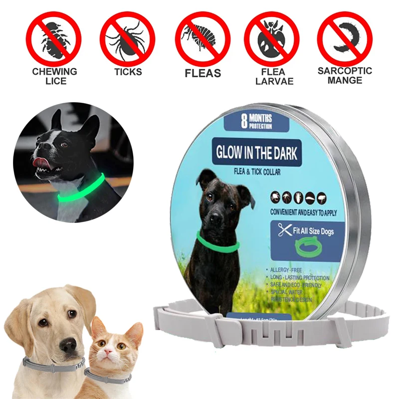 

Pet Dog Mosquito Repellent Collar Glowing Retractable Pet Collar For Dogs Cats Anti Flea Tick Mosquito 8 Months Dog Accessories